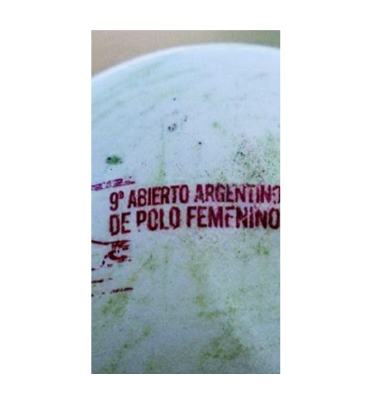 Field Polo Balls made in Argentina $9.50 AUD Each